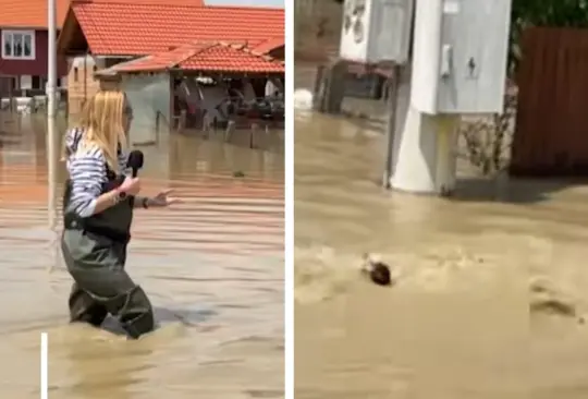 La reportera se sumergió entre las aguas negras. La reportera se sumergió entre las aguas negras.