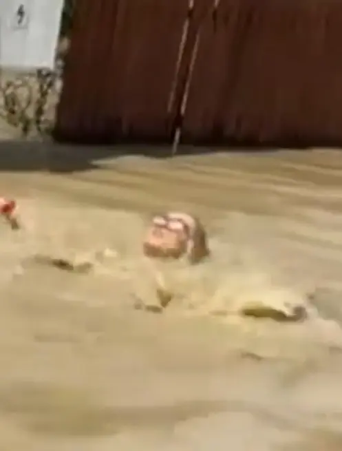 En el video fue transmitido en directo en Romania. Captura de pantalla.