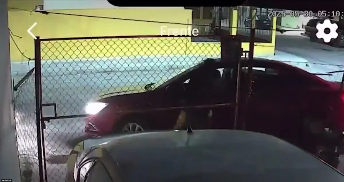El auto le pasó por encima a la mujer. Especial.