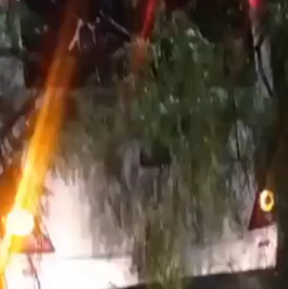 Árbol de 30 metros cae sobre camión en Iztapalapa por intensas lluvias