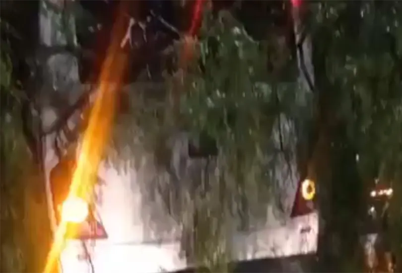 &Aacute;rbol de 30 metros cae sobre cami&oacute;n en Iztapalapa