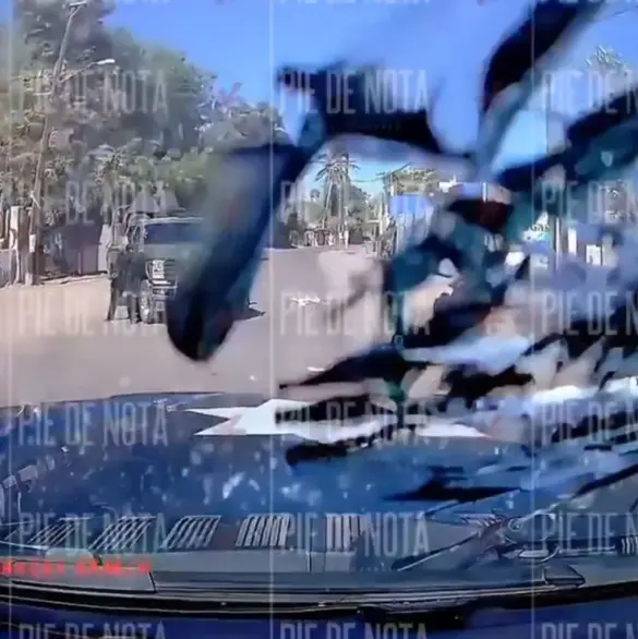 Difunden video del operativo donde cayó "La Perris", jefe de seguridad de "Los Chapitos"