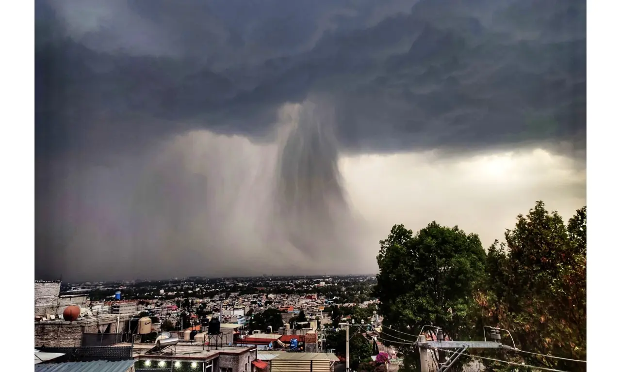  Tormenta azota CDMX: árboles caídos, autos dañados e inundaciones paralizan la ciudad 