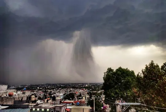 Tormenta azota CDMX: árboles caídos, autos dañados e inundaciones paralizan la ciudad