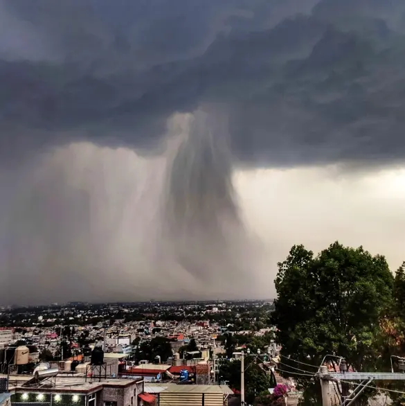 Tormenta azota CDMX: árboles caídos, autos dañados e inundaciones paralizan la ciudad