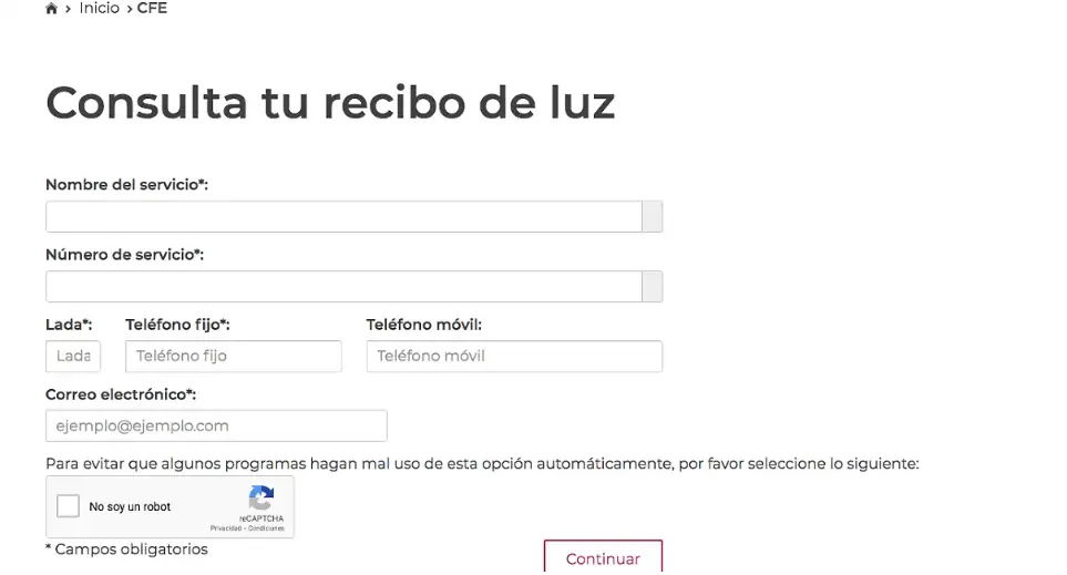 Sitio para tramitar el recibo de luz. Especial