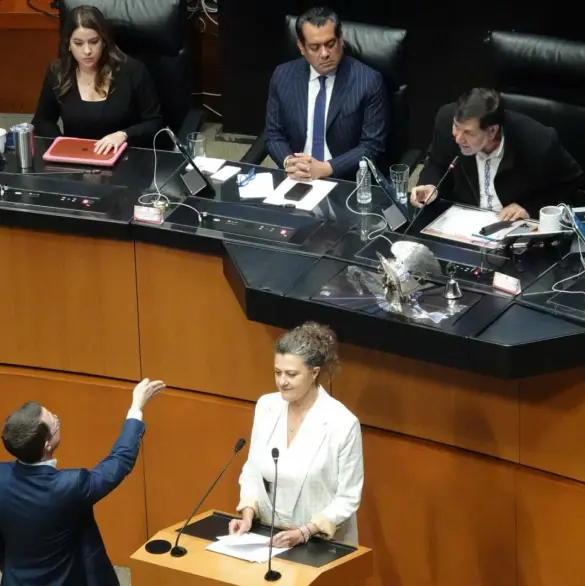 La caca flota: Difunden videos de la pelea entre Anaya y Noroña en el Senado