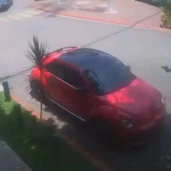 Filtran VIDEO del asesinato de "El Wicho", líder de La Familia Michoacana