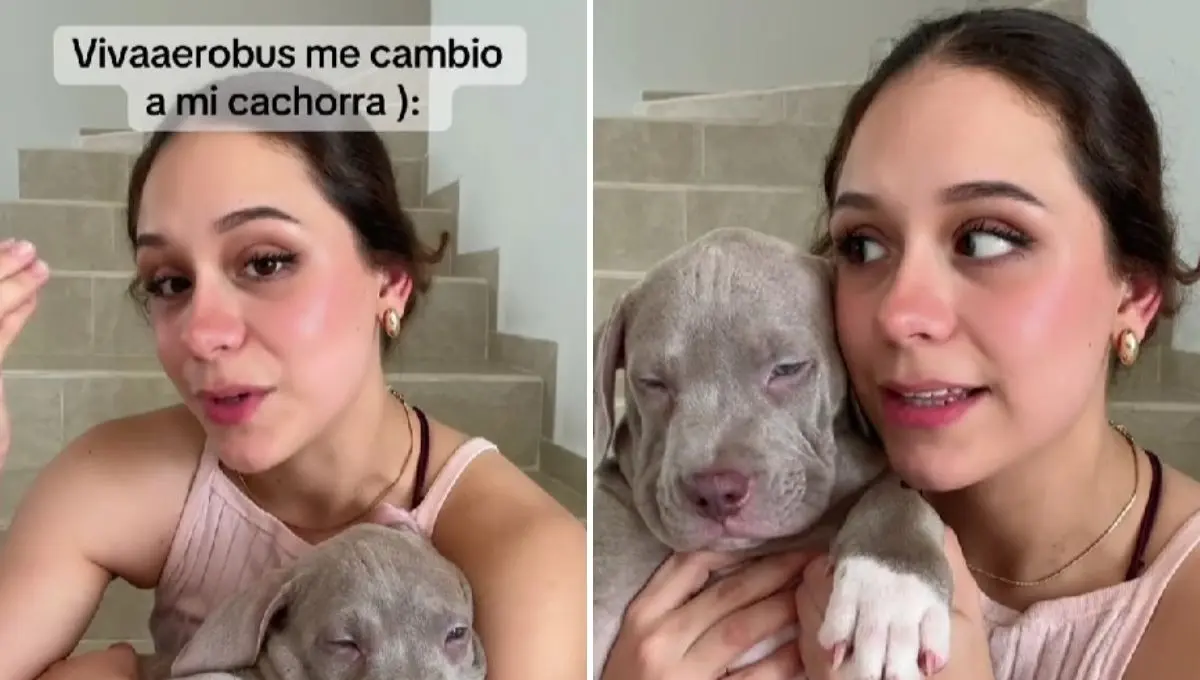  Viva Aerobús intercambia a perros 