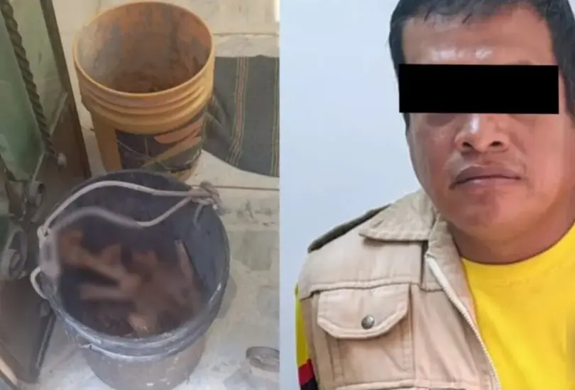 Roban esqueleto en panteón de Iztacalco; planeaban vender los huesos Roban esqueleto en panteón de Iztacalco; planeaban vender los huesos