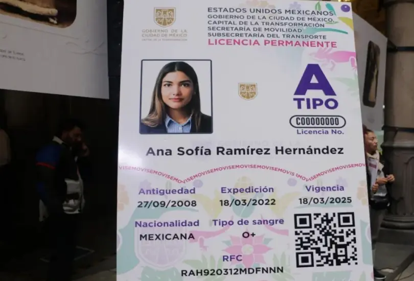 La licencia de conducir permanente puede ser tramitada por dos tipos de personas. La licencia de conducir permanente puede ser tramitada por dos tipos de personas.