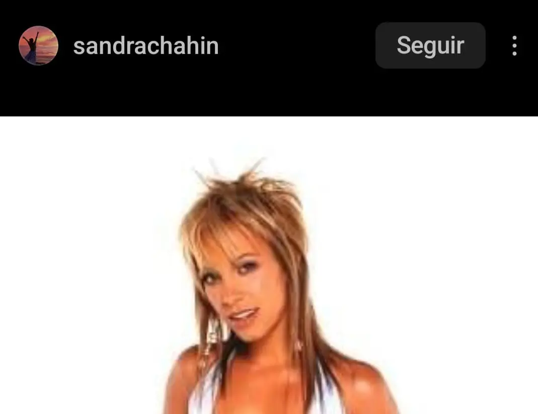 En el programa enlistaban las 10 canciones más populares de la semana y era conducido por Sandra Chahin.<br>