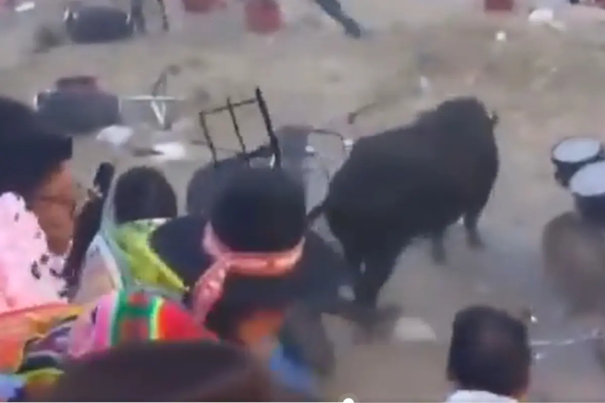 Todo crea pánico en fiesta de Perú Especial