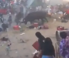 Corrida termina en tragedia en Perú: toro embiste a 12 personas en fiesta patronal