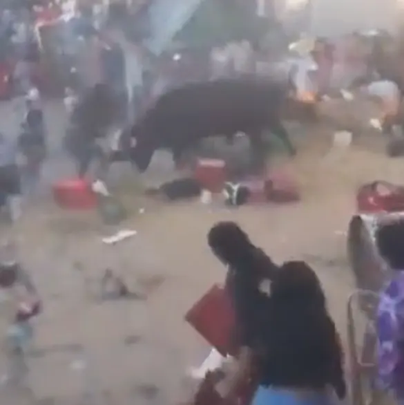 Corrida termina en tragedia en Perú: toro embiste a 12 personas en fiesta patronal