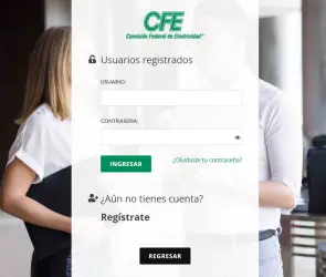 CFE: &iquest;C&oacute;mo hacer tu pago  de tu recibo en l&iacute;nea en minutos?