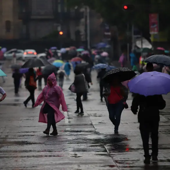¡Saquen el paraguas!: La lista de estados donde lloverá muy fuerte hoy 12 de junio