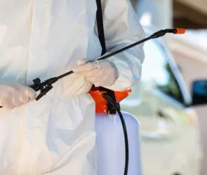 Murieron dormidos: madre e hijos mueren intoxicados por fulmigante