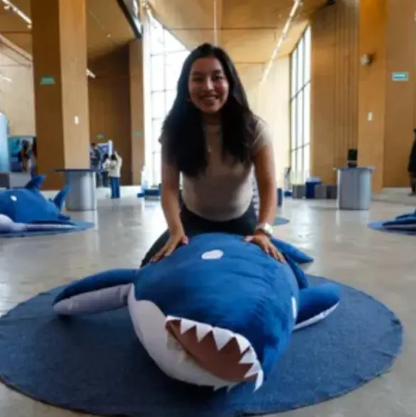 "Tiburones": La exitosa exposición de Nueva York llega a CDMX