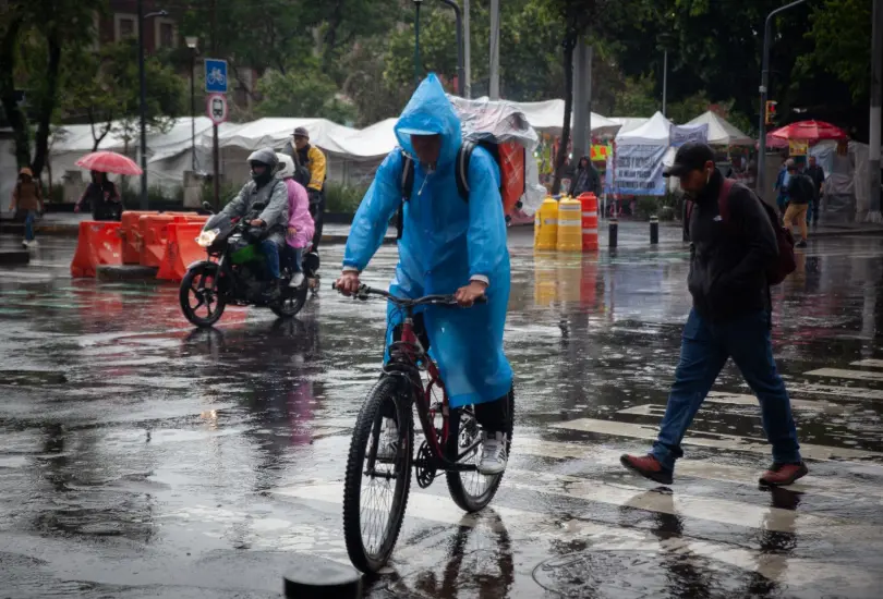 El exhorto oficial sugiere establecer acuerdos para aplicar el trabajo remoto de forma temporal. El exhorto oficial sugiere establecer acuerdos para aplicar el trabajo remoto de forma temporal.