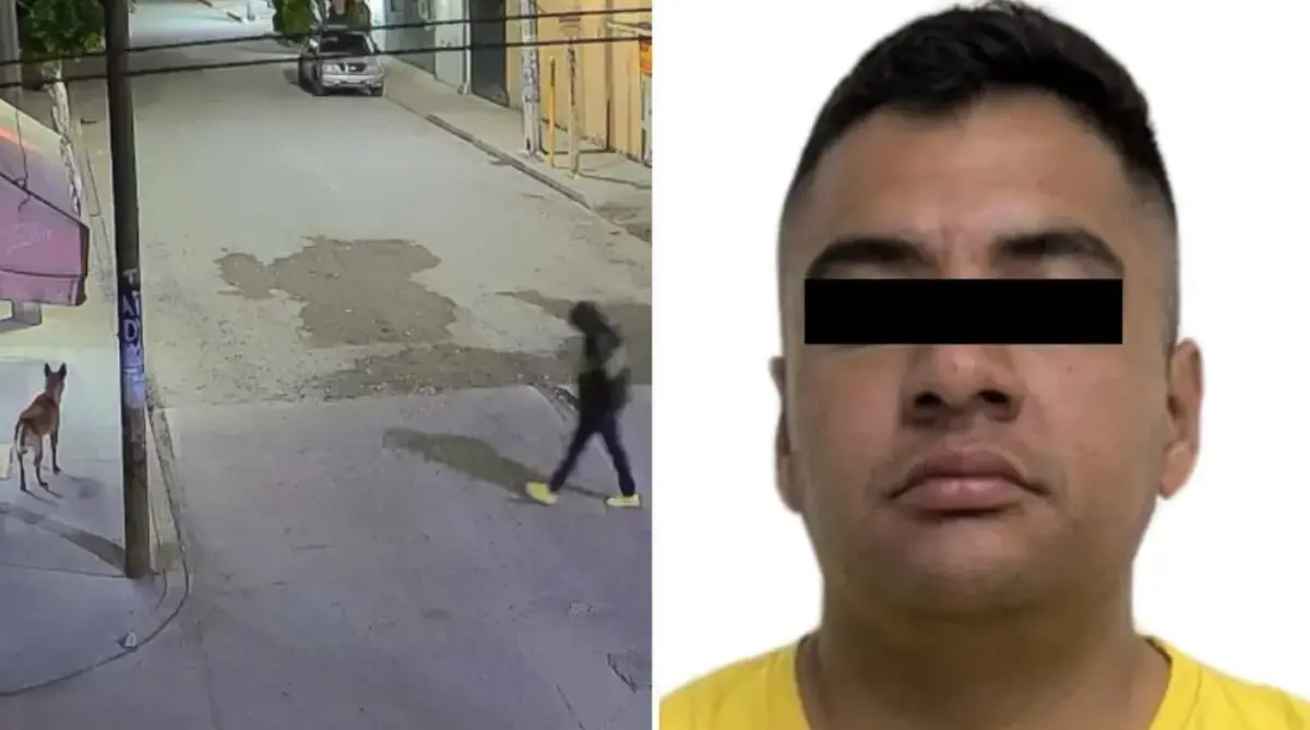  Vecinos afirman que el animal era dócil y sería adoptado en días.









 