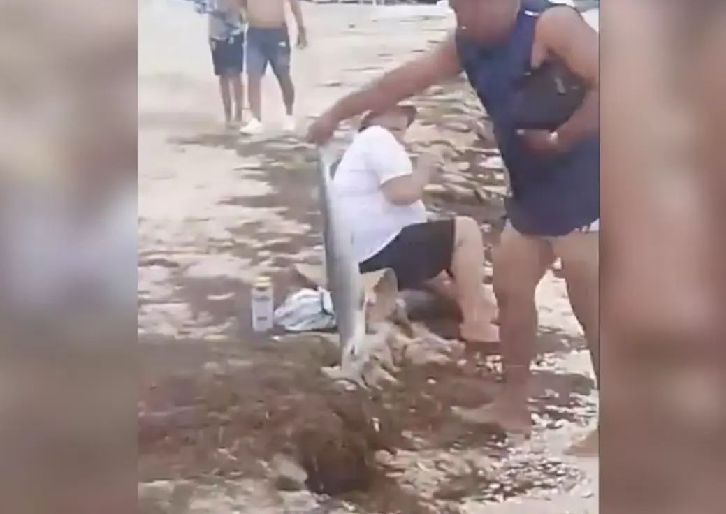 Un policía tuvo que intervenir para que el hombre devolviera el tiburón al mar. Captura de pantalla