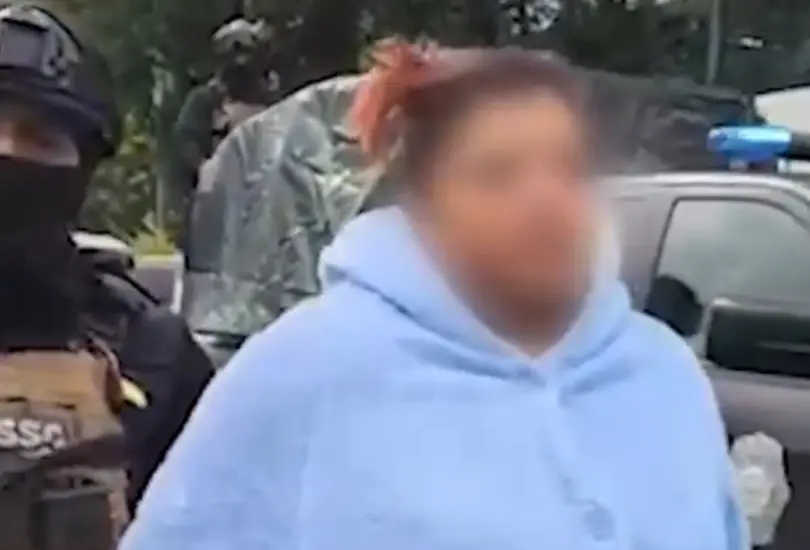 Desmantelan célula de "Los Mojarras" en Tlalpan Desmantelan célula de "Los Mojarras" en Tlalpan