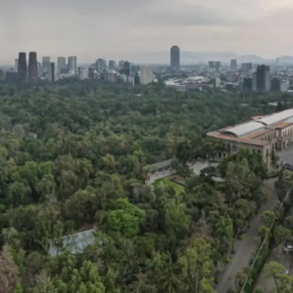 Carrera del Bosque de Chapultepec 2025: regresa el gran evento deportivo al pulmón verde de la CDMX