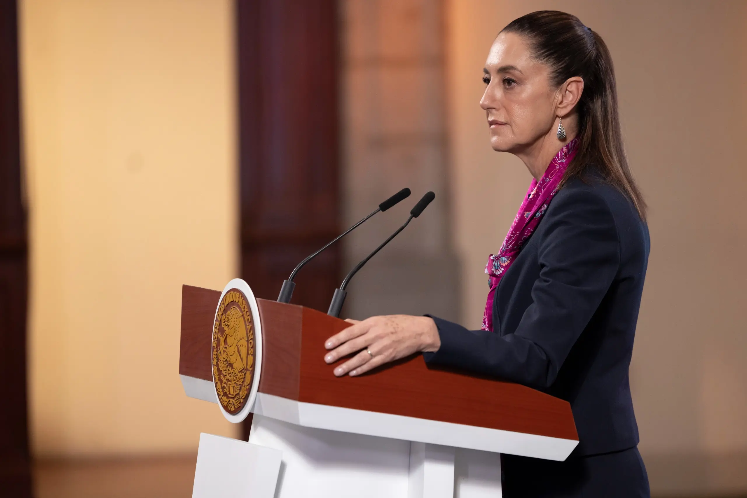 Presidencia<div><br></div> Presidencia<div><br></div>