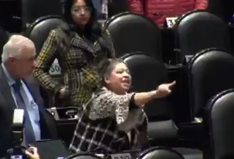 La legisladora por Monterrey señaló que la oposición no ha sabido actualizarse tecnológicamente. La legisladora por Monterrey señaló que la oposición no ha sabido actualizarse tecnológicamente.