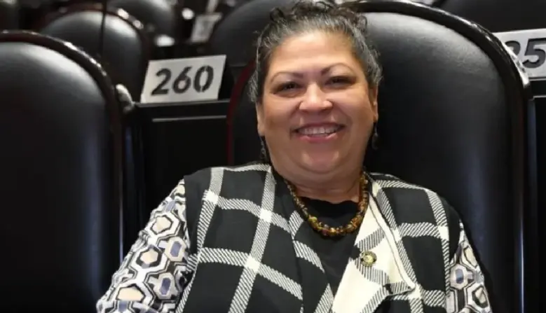 La diputada de Morena, Olga Leticia Chávez Rojas, protagonizó un fuerte cruce verbal. Cámara de Diputados.