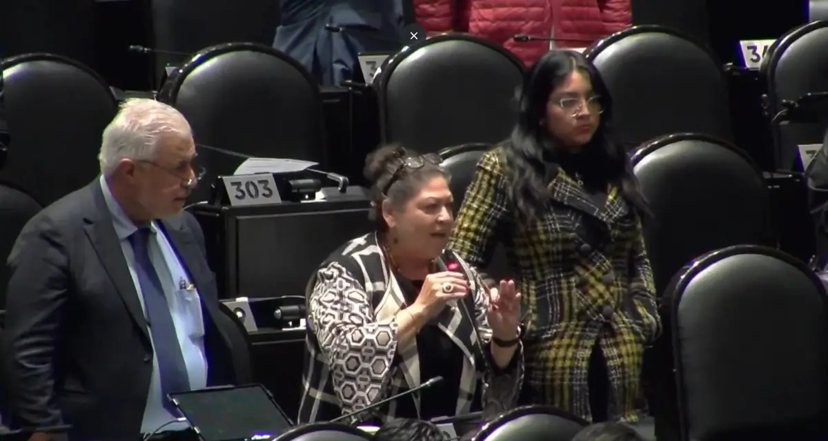 La diputada continuó su intervención con un encendido discurso que se volvió viral en redes sociales. Captura de pantalla.