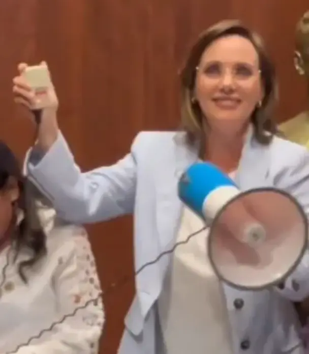 La senadora se manifestó contra la ratificación de Ferrer. Captura de pantalla.