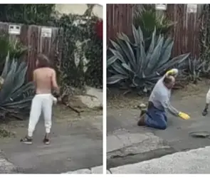 Caso Rodolfo Roman: jardinero es atacado a palazos por hacer mucho ruido