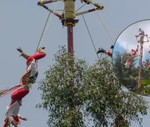 Voladores de Papantla caen desde 10 metros durante ritual en Veracruz