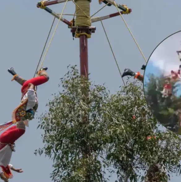 Voladores de Papantla caen desde 10 metros durante ritual en Veracruz