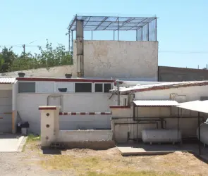 Hallan 380 cuerpos apilados en crematorio abandonado de Ciudad Juárez