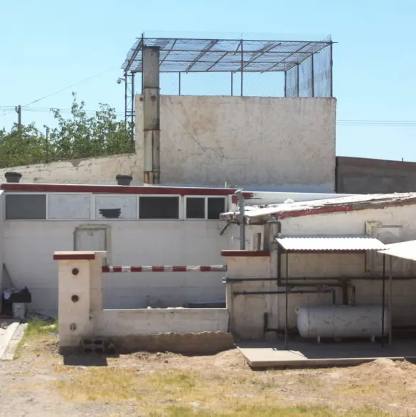 Hallan 380 cuerpos apilados en crematorio abandonado de Ciudad Juárez