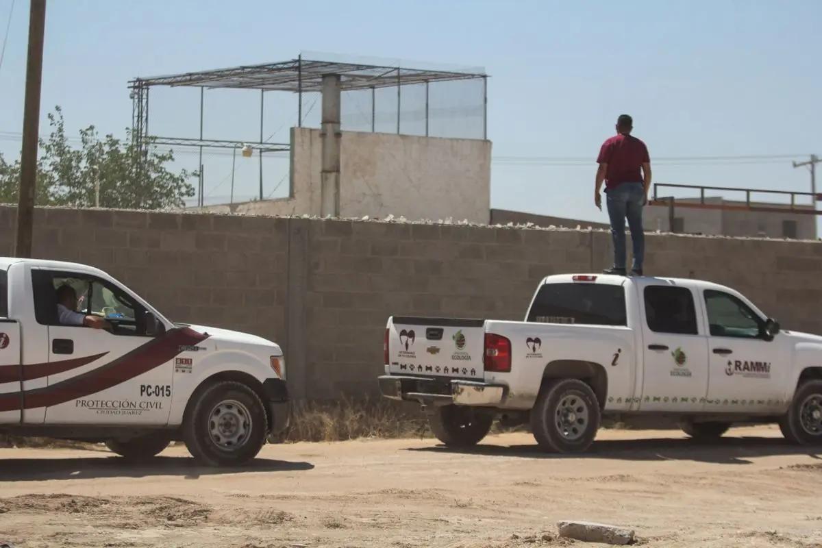 En 2020 fue la última vez que Cofepris inspeccionó el lugar. Cuartoscuro.