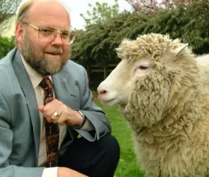 ¿Qué fue de la oveja Dolly después de su clonación? 