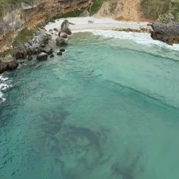 Joven entró a bañarse a la playa de San Vicente de la Barquera; su cuerpo fue encontrado flotando cubierto de algas