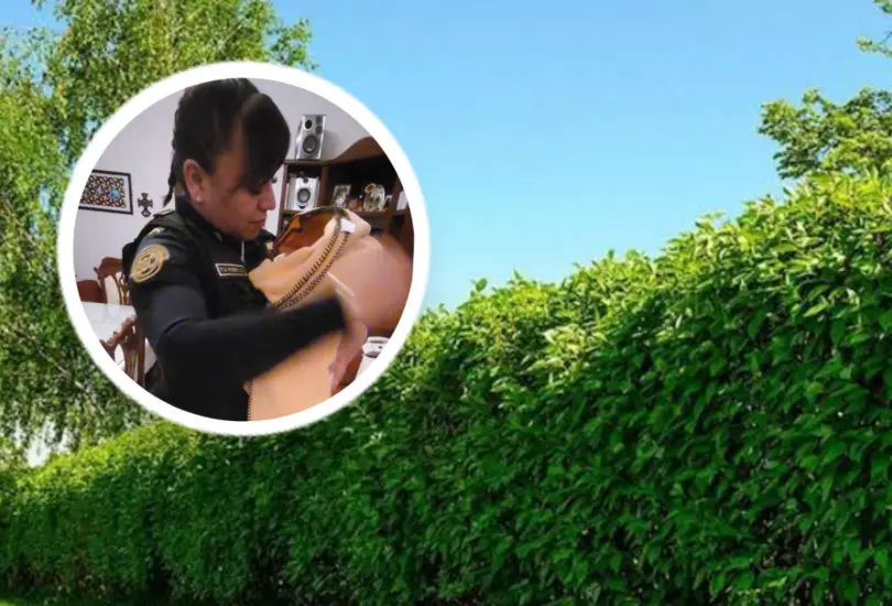 Joven encuentra a recién nacida abandonada mientras paseaba a su perro Joven encuentra a recién nacida abandonada mientras paseaba a su perro