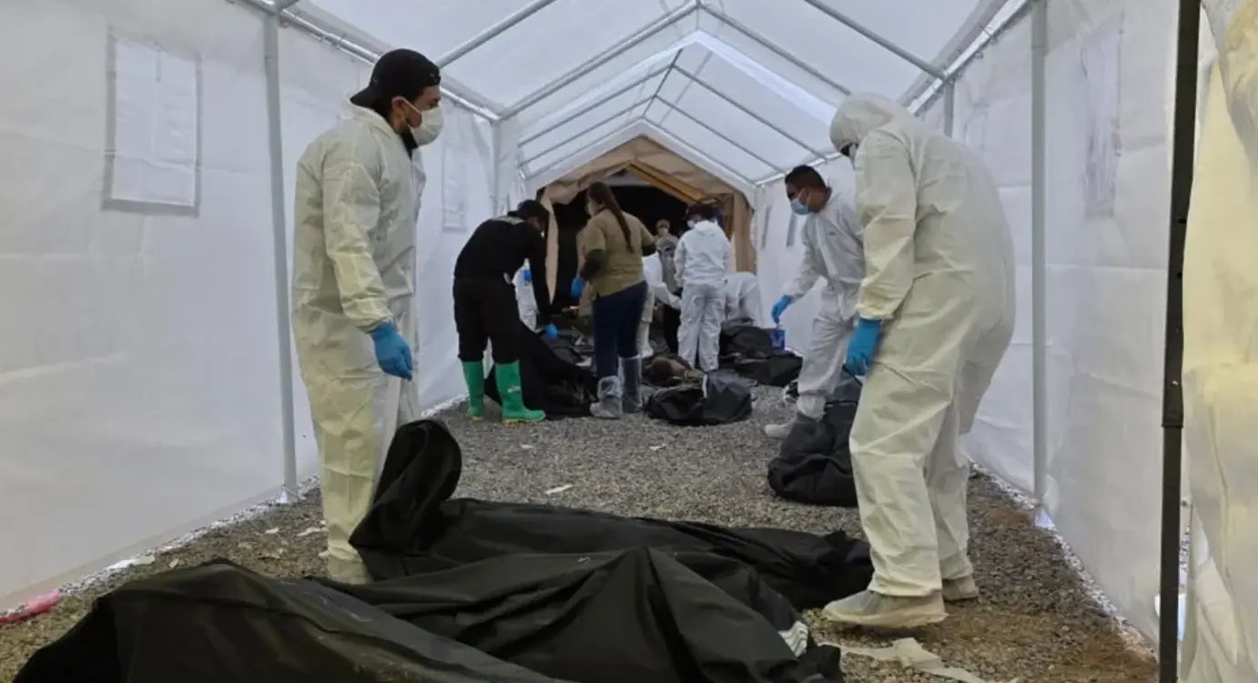 383 cuerpos, 15 identificaciones Especial
