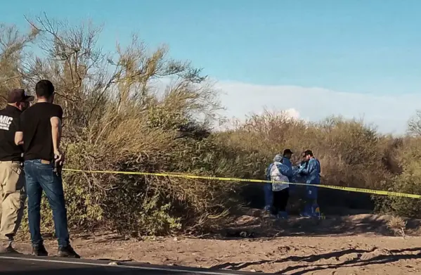 Peritos del Estado de Sonora, trabajan en la zona del hallazgo, el 6 de julio. Especial