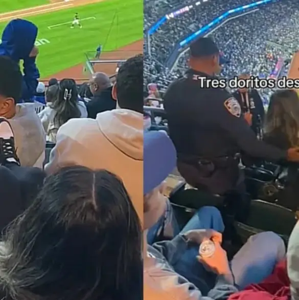Lady Patadas: expulsan a mujer de juego de béisbol tras agredir a otro aficionado