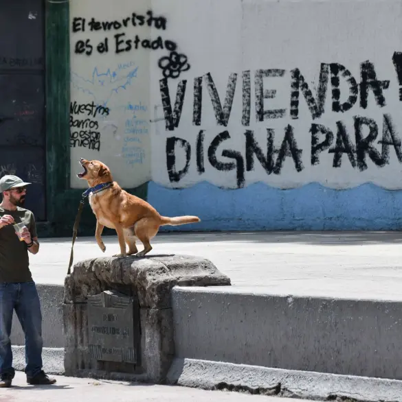 Pagas o te vas: el dilema de rentar en la Ciudad de México ante la gentrificación