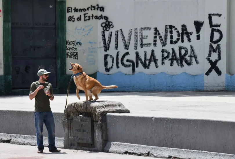 La gentrificación en la CDMX. La gentrificación en la CDMX.