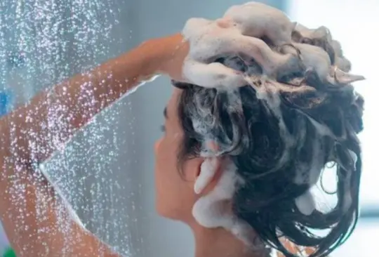 Este shampoo cuesta menos de 100 pesos y es mejor, según la IA Este shampoo cuesta menos de 100 pesos y es mejor, según la IA