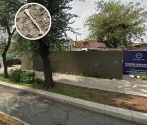 ¿De quién son los huesos hallados en Reforma? La verdad detrás del macabro descubrimiento 