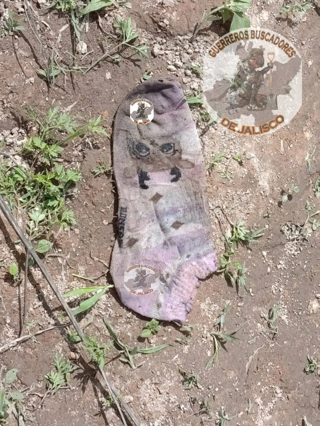 Fosas clandestinas en Las Agujas Especial